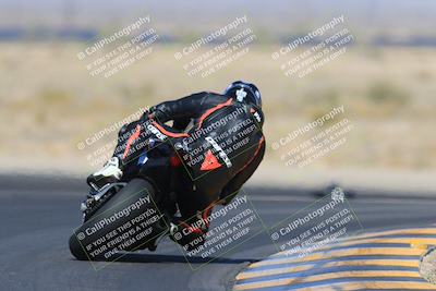 media/May-13-2023-SoCal Trackdays (Sat) [[8a473a8fd1]]/Turn 11 Backside (945am)/